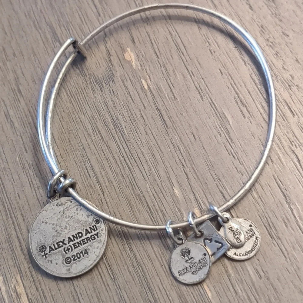Alex and Ani Because I'm a Girl Bracelet